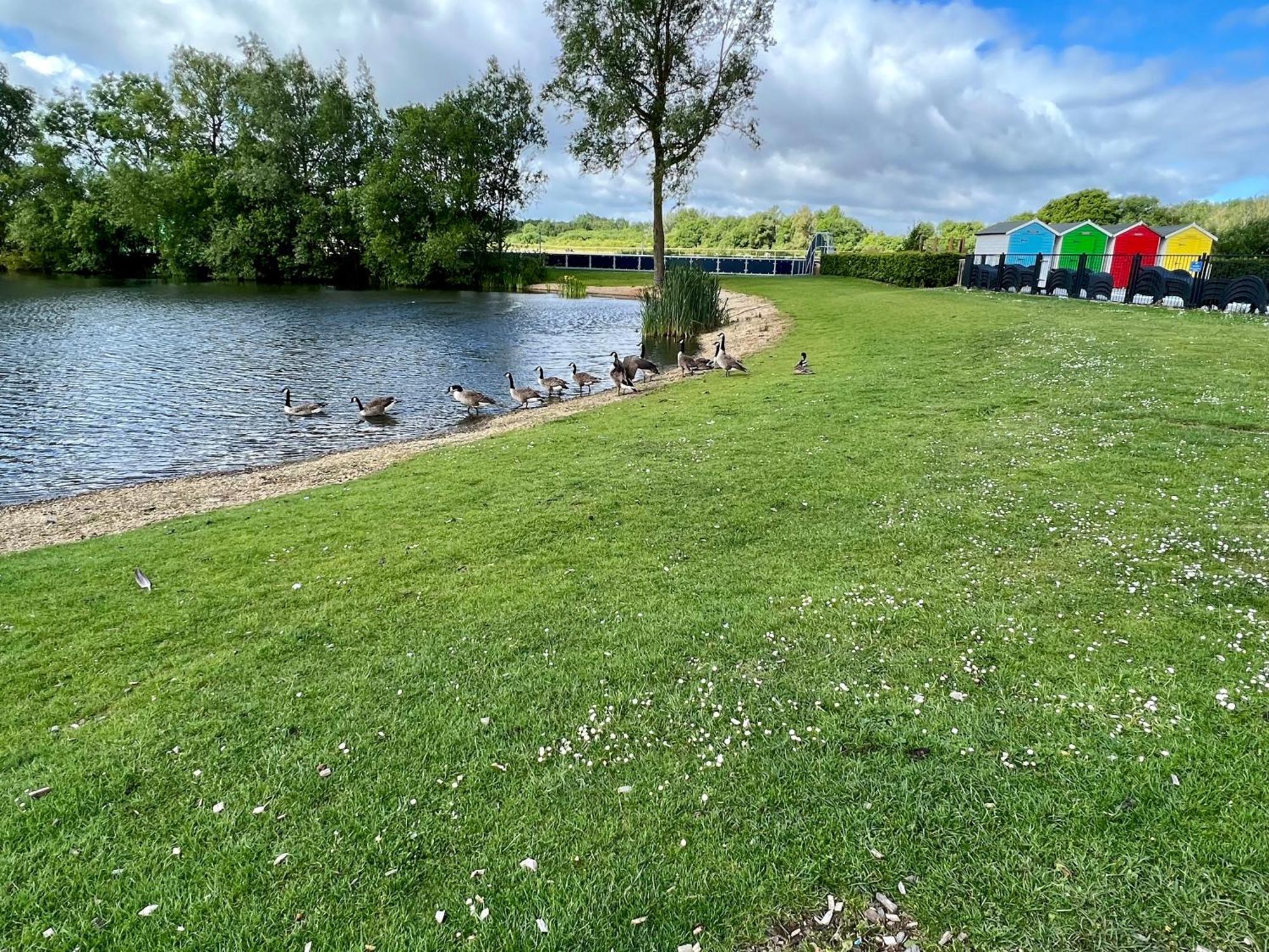 Bluebell Lodge, Dog Friendly South Cerney Dış mekan fotoğraf